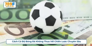 cách cá độ bóng đá không thua