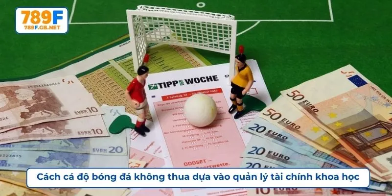 Cách cá độ bóng đá không thua dựa vào quản lý tài chính khoa học