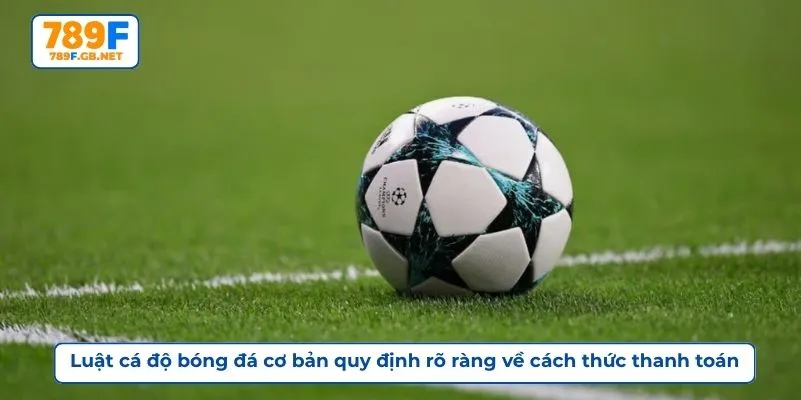 Luật cá độ bóng đá cơ bản quy định rõ ràng về cách thức thanh toán