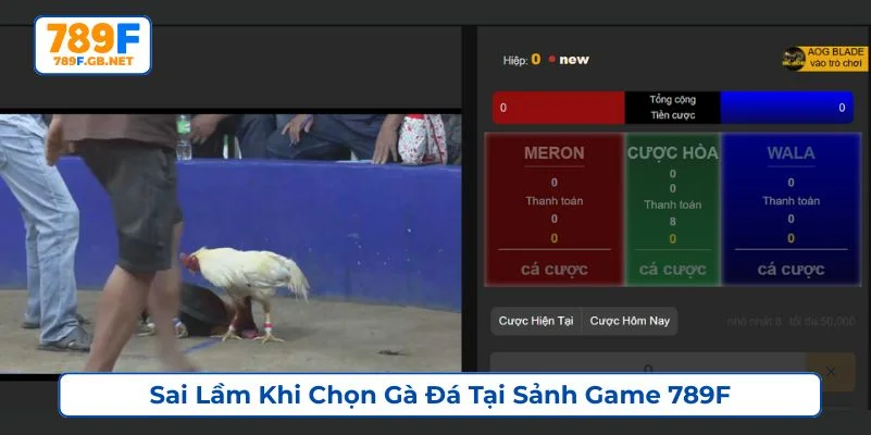 Tổng hợp những sai lầm khi chọn gà đá phổ biến hiện nay